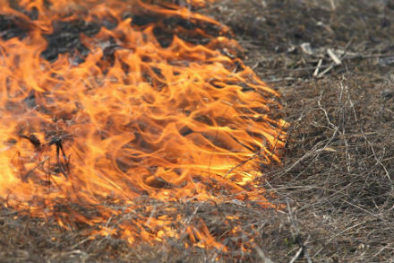 A tarló égetése ilyenkor fokozott veszélyekkel jár - illusztráció illusztráció