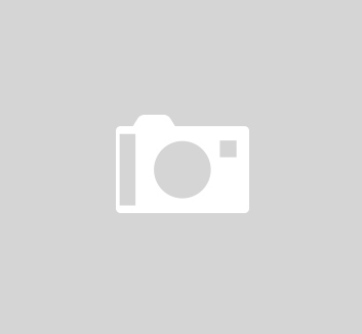 Pas mađarske rase komondor je nova zvezda interneta - A cikkhez tartozó kép