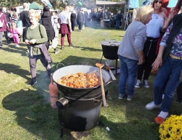 Sokakat vonzott a topolyai Szármafesztivál - A cikkhez tartozó kép