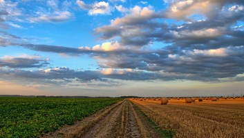 Az egekbe szöktek a vajdasági földek árai - illusztráció