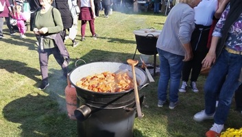 Sokakat vonzott a topolyai Szármafesztivál - illusztráció